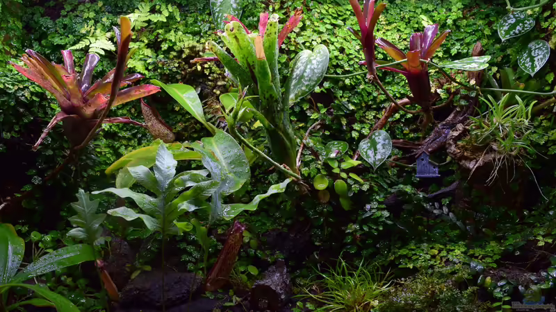 11.12.2018 von Junglist (35)