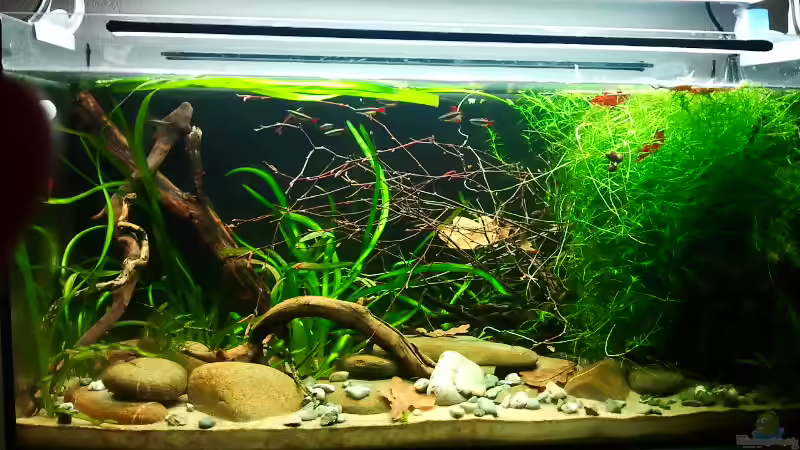 11_2012 Ergänzung der Einrichtung von *fly_high* (6)