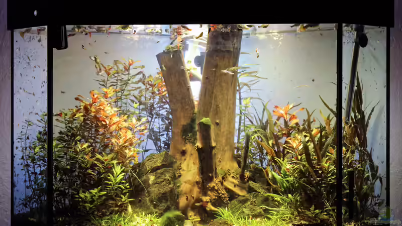 11-2014 Stand nachdem die neue Beleuchtung verbaut war von Triameh (3)