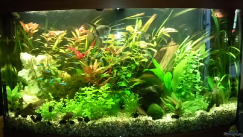 11.9.2010 von Wirbellose (6)