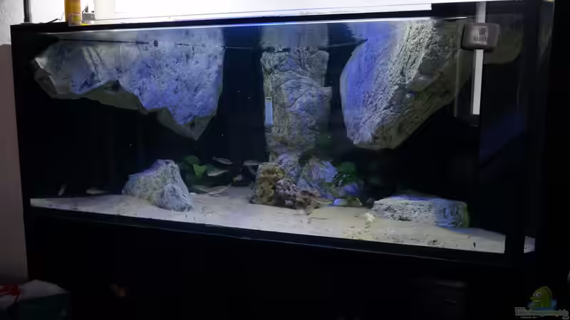 1100 l Sandlitoral von tattooindi (1)