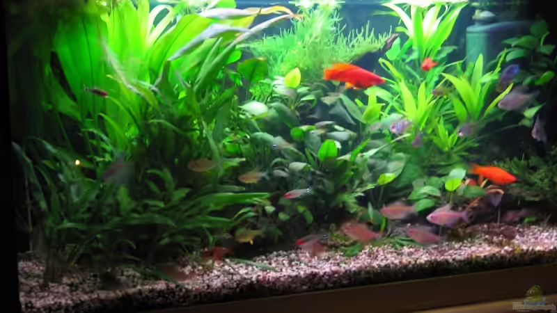 112 Liter Süd- und Mittelamerika von Detlef Schoreit