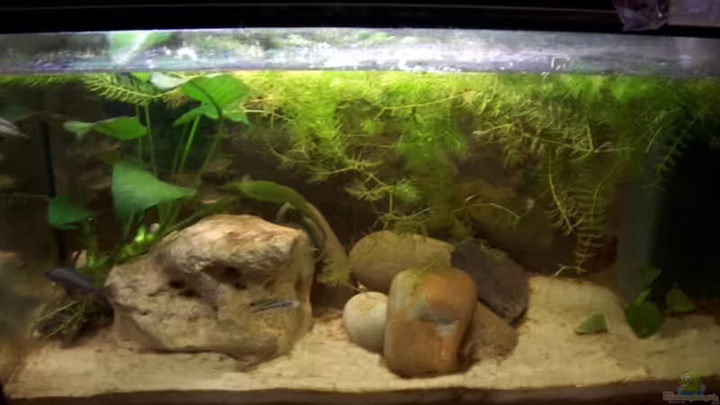 112l von Stanislav Kislyuk (1)