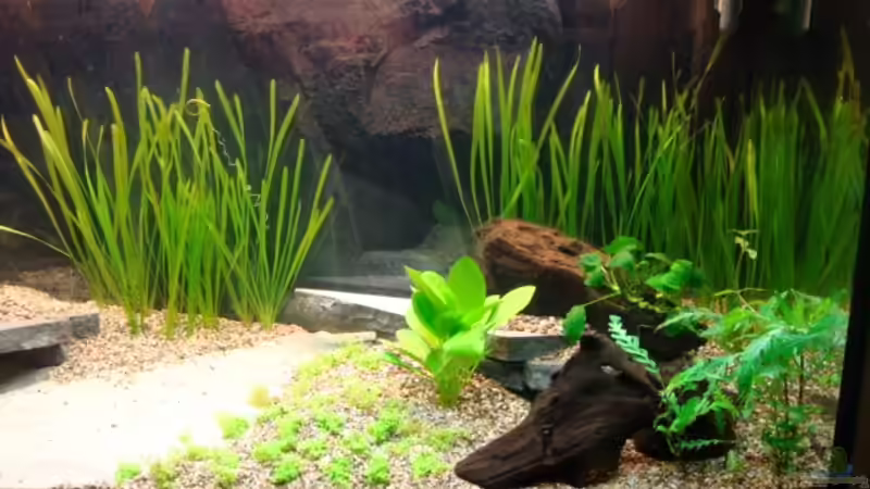 12. Mai 2012 von Marina (14)