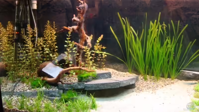 12. Mai 2012 von Marina (15)