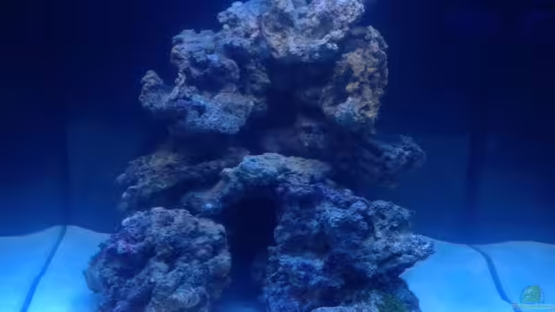 12.01.13 von chR576 (1)