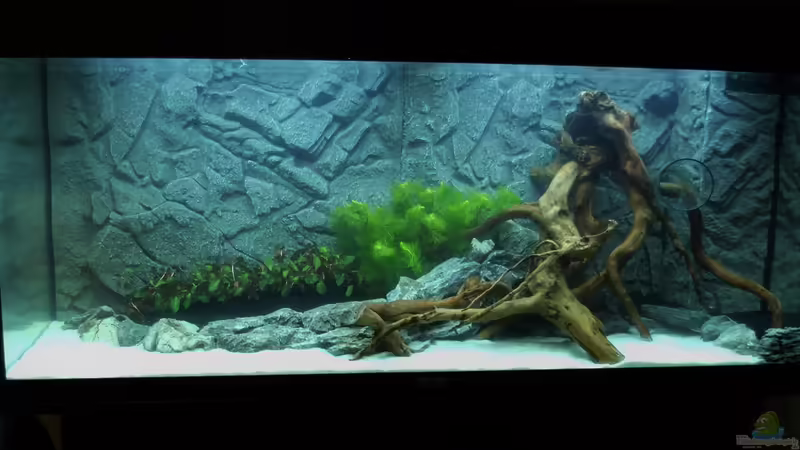 12.01.16 von Jah Gaid (4)