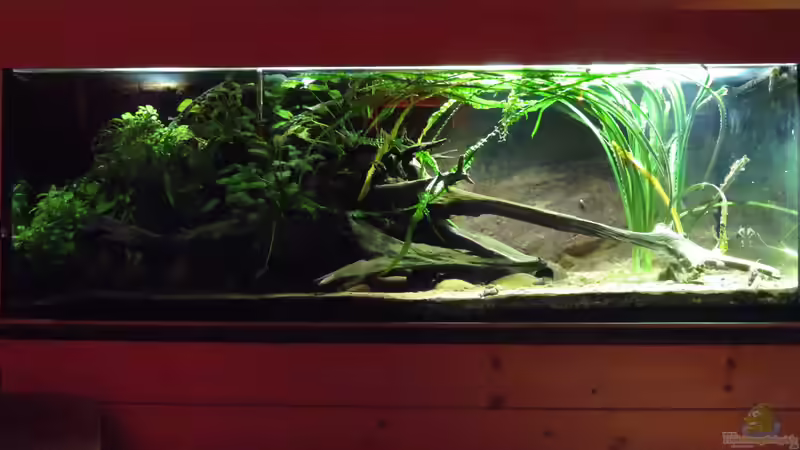 12.01.2018 Gesamtansicht von db (1)