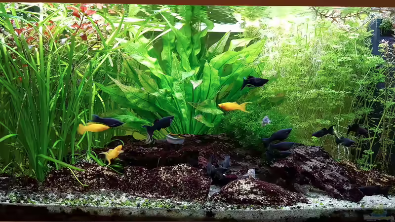 12.01.2019_2 von Pegnitz (13)