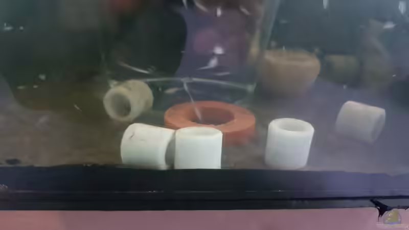 12.01.2019 bisschen Deko  von Kevin Engelsberger (21)