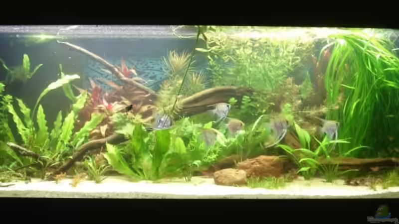 12-02-07 von Sven Pohlner (4)