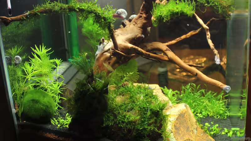 12.02.20015 von SouthAmerica (4)