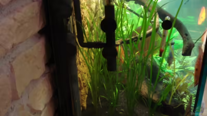 12.02.2012 Ansicht linke Seite von matze70 (5)