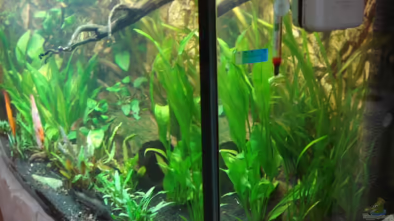 12.02.2012 Ansicht rechte Seite von matze70 (6)