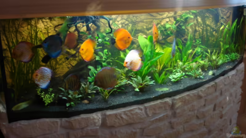 12.02.2012 von matze70 (2)