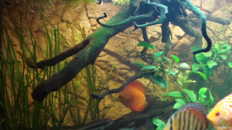 12.02.2012 von matze70 (27)