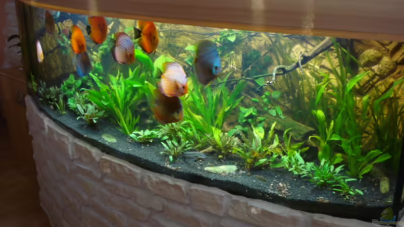 12.02.2012 von matze70 (3)