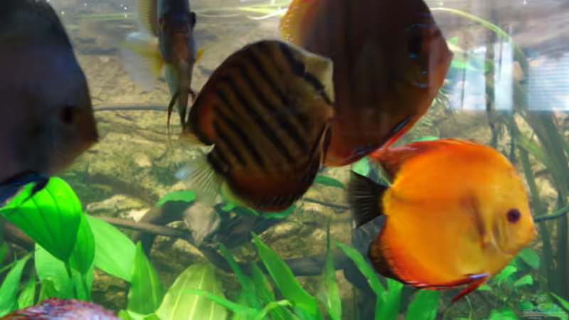 12.02.2012 von matze70 (32)