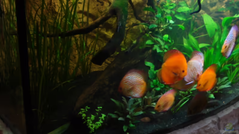 12.02.2012 von matze70 (7)