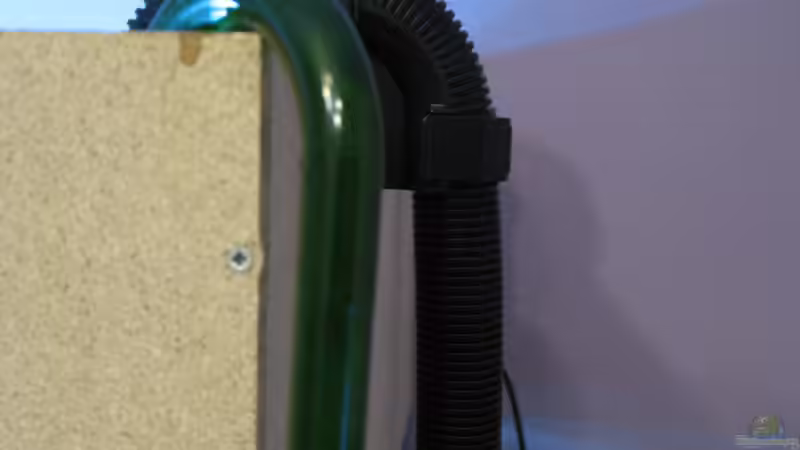 12.02.2016: altes Eheim Filteransaugrohr von der Theoretiker (39)