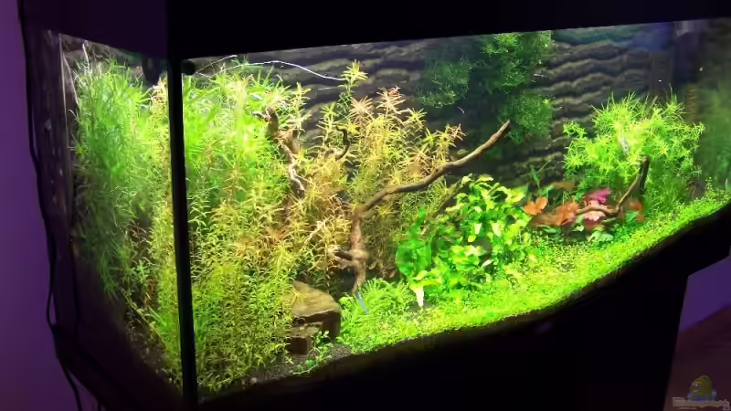 12.03.09 von Dani B (8)