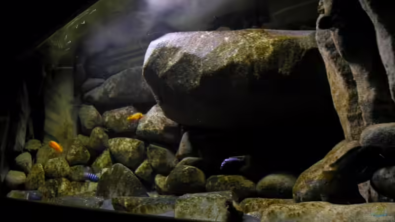 12.03.11 von LaEy (34)