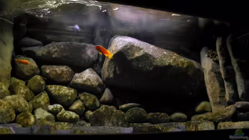 12.03.11 von LaEy (55)