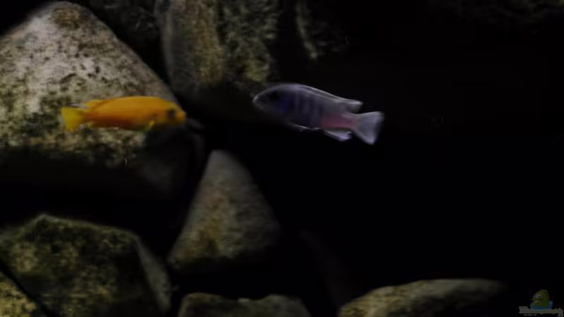 12.03.11 von LaEy (95)