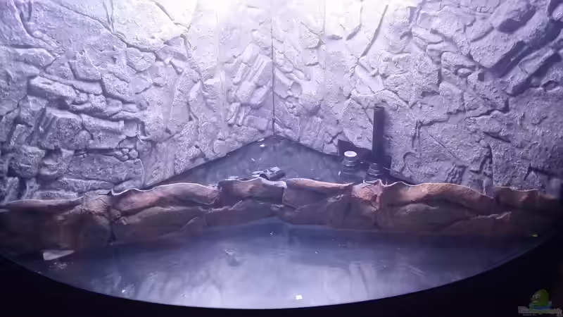 12.03.2015 Rückwand und Terrasse eingeklebt von Steffen und Felix (9)