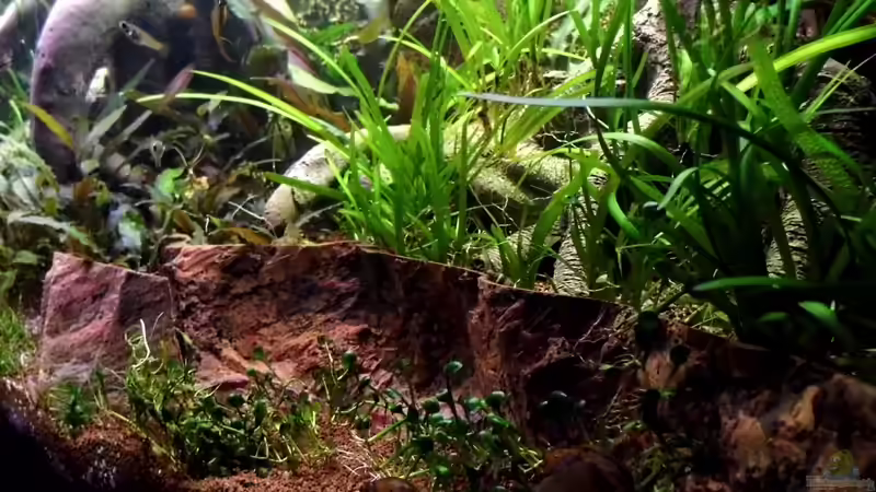 12.04.2013 von snooze (15)