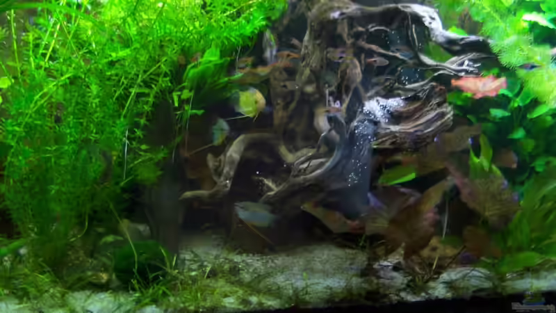 12.04.2015 von Schratze (16)