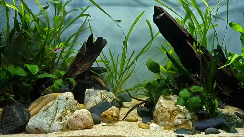 12.04.2023 von okefenokee (45)