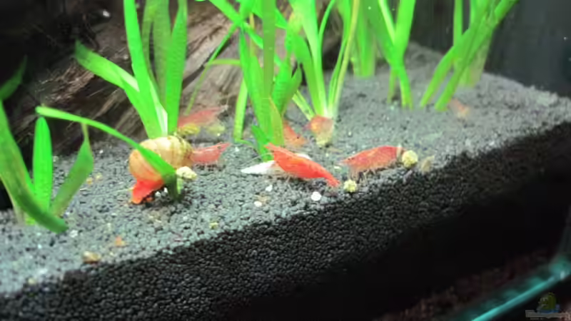 12.05.2010 von Opodeldok (39)