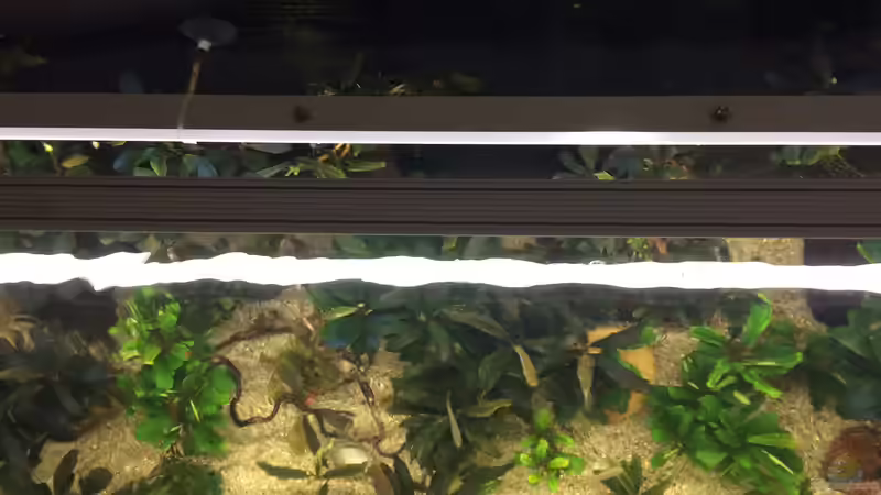 12.05.2021 die Halterung mit der Mondlicht LED an seinem Platz von herkla (37)