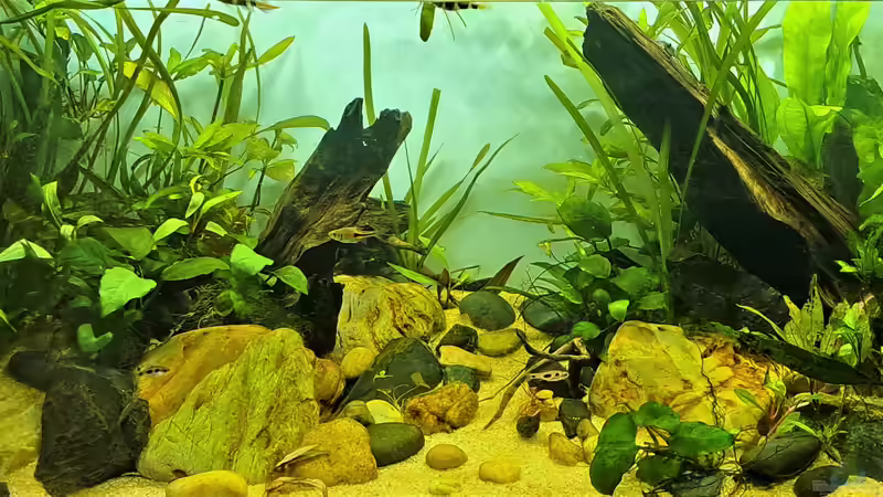 12.05.2023 von okefenokee (47)