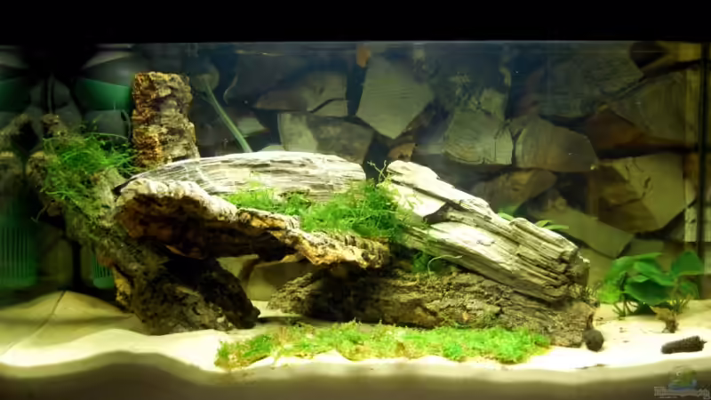 12.06.09 von Danubia (2)