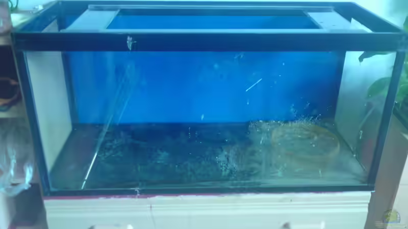 12.06.2012 - Kies und Sand sind auch schon drin... von Pinkie (3)