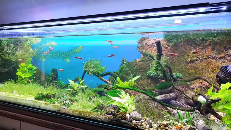 12.06.2022 von bergfrau (10)