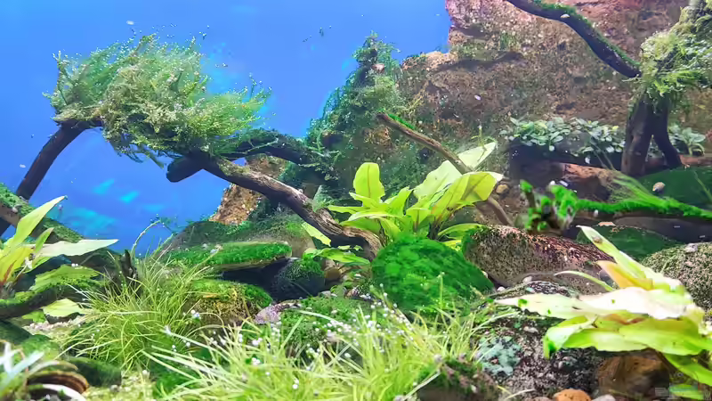 12.06.2022 von bergfrau (12)