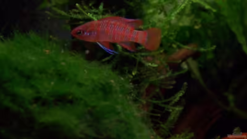 12.07.10  von Tom Rudolph (9)