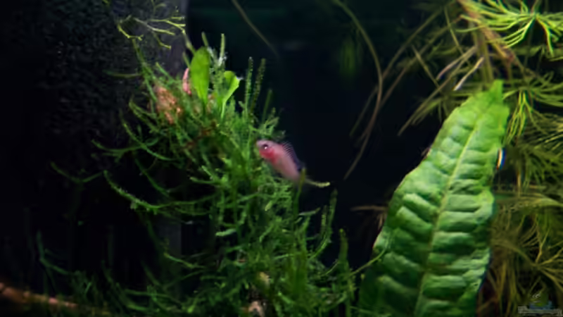 12.07.10 von Tom Rudolph (10)