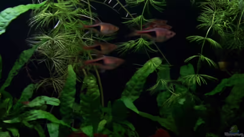 12.07.10 von Tom Rudolph (2)