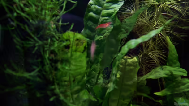 12.07.10 von Tom Rudolph (3)