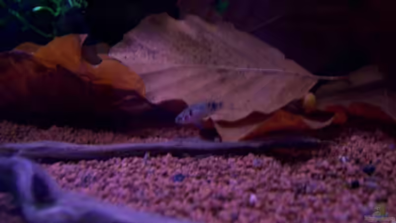 12.07.10 von Tom Rudolph (6)