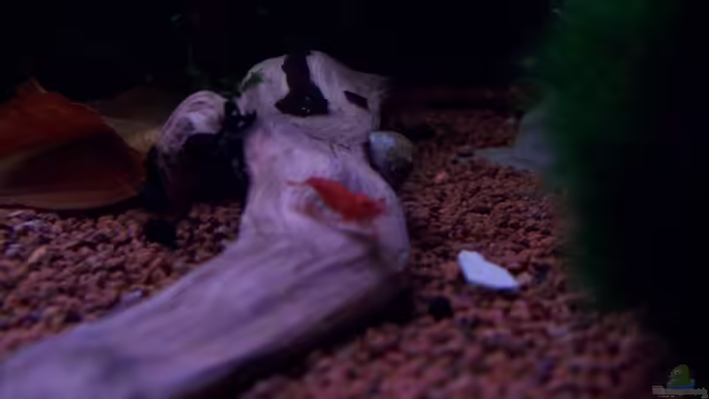 12.07.10 von Tom Rudolph (7)