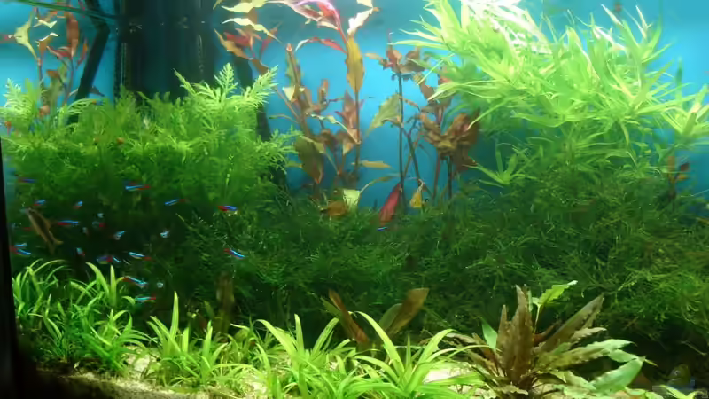 12.07.2010 von Susanne Kruse (9)