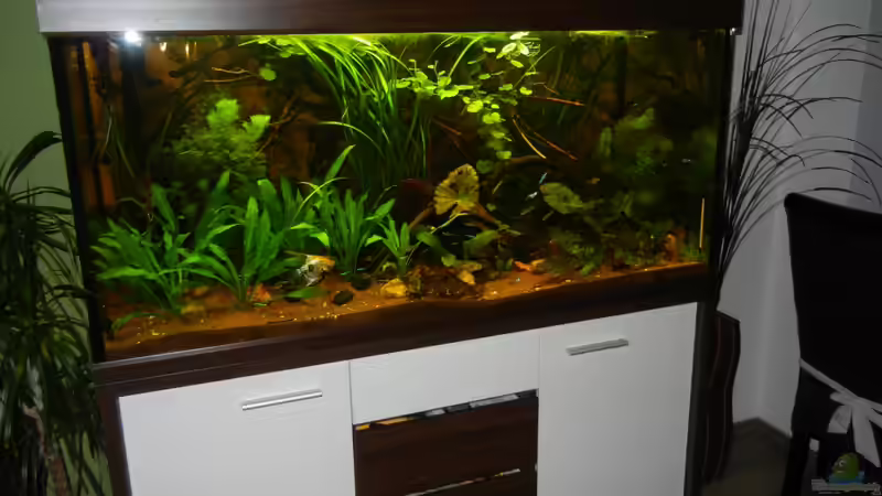 12.07.2012 von Life (5)