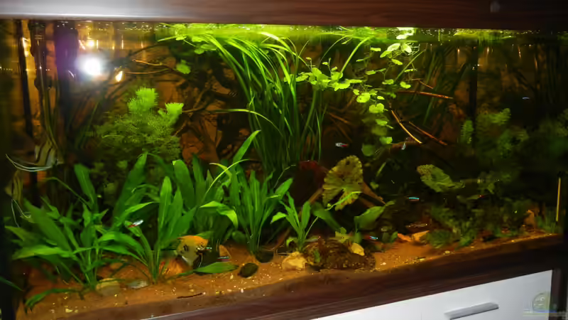 12.07.2012 von Life (6)