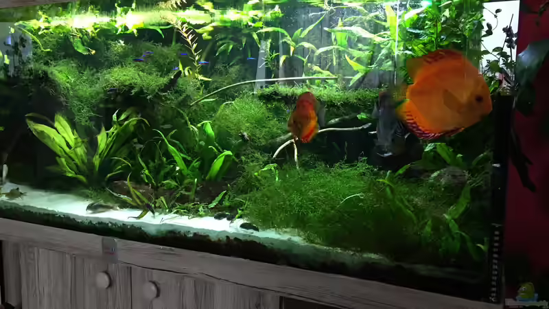 12.07.2017 von signo (4)