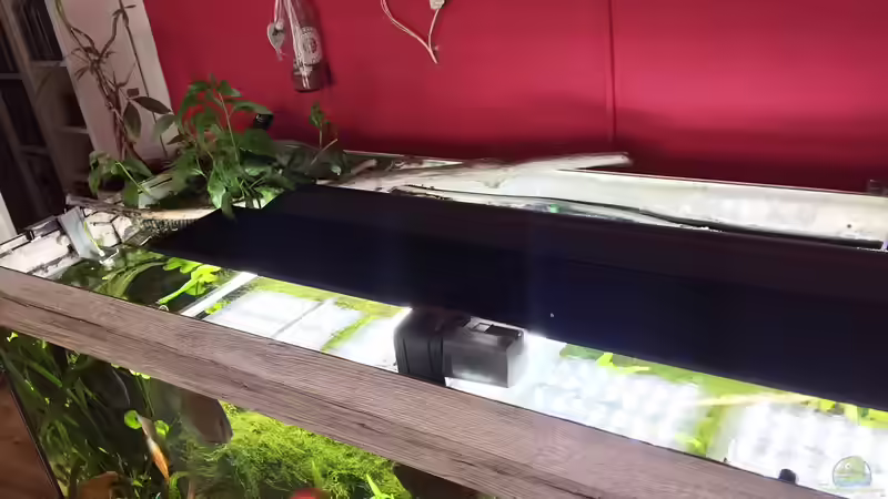 12.07.2017 von signo (5)